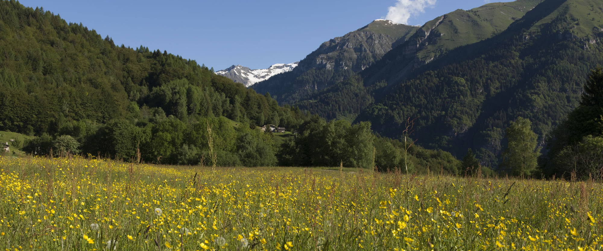 Valle del Chiese